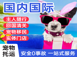 哈尔滨航空货运国际宠物托运 【国